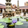 Thailand_2017_ (112 of&nbsp;160)